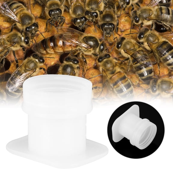 M Buder 10 Pcs Premium Bee Water Feeder Bowl Drinker, Professional Beekeeping Equipment Drinking Fountain Waterer Tools for Hive Entrance, Easy to Use and Clean, Durable Plastic Construction