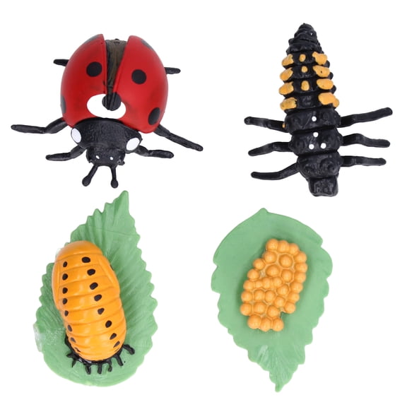 M Buder Life Cycle Figurines Lifelike Vinyl Ladybug Growth Model Set Kids Educational Toy