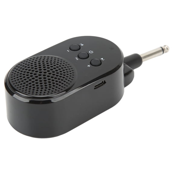 M Buder Mini Bluetooth Speaker Portable High Connection Speed Inline Small Speaker for Electronic Wind Instrument 5W, Black (5.12 inches / 13 cm)