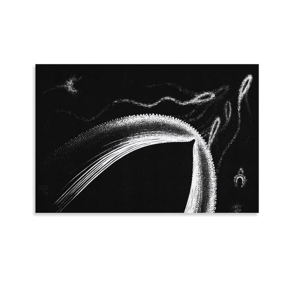 M.C. Escher Dolphins Wall Art Poster Poster Cool Artworks Painting Wall Art Canvas Prints Hanging Picture Home Decor Posters Gift 12x18inch(30x45cm)