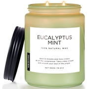 ‌M&SENSE Eucalyptus & Mint Scented Candle – 19.4oz Natural Soy Wax, 110-Hour Burn, Aromatherapy for Stress Relief & Relaxation, SPA/Yoga Gift