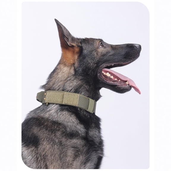 M Size(20-24 Inch)Tactical Dog Collar with Heavy-Duty Buckle & Rivets, Military Green Nylon Dog Collar for Large Dogs, Adjustable & Durable Pet Collar for Outdoor Training, Walking