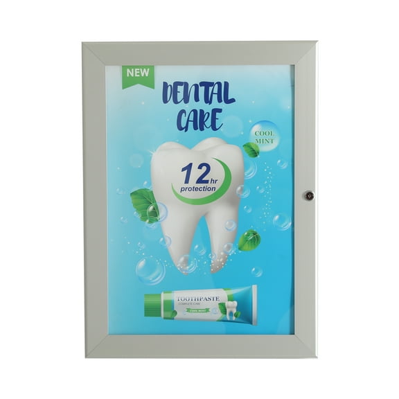 M&T Displays Enclosed Lockable Sealed Poster Showboard 22x28 Inches Silver Aluminum Noticeboard Bulletin Board For Office School Classroom Hospital Commercial Use