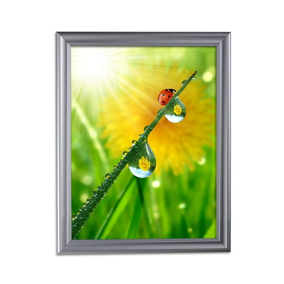 M&T Displays Fancy Front Loading Snap Picture Frame Poster Size 1.58" Silver Color Profile, Mitered Corner (22x28)