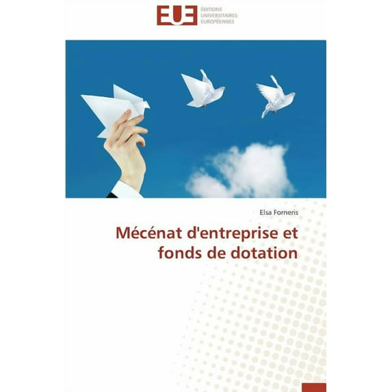 Mécénat d'entreprise et fonds de dotation (Paperback)