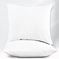 thumbnail image 1 of Máulli Collection 18 x 18 Throw Pillow Insert - Pack of 2 White Fluffy Pillow Inserts for Throw Pillow Covers, Lightweight Firm Throw Pillows for Bed, Couch Pillows for Living Room, Euro Pillows, 1 of 9