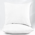 thumbnail image 1 of Máulli Collection 18 x 18 Throw Pillow Insert - Pack of 2 White Fluffy Pillow Inserts for Throw Pillow Covers, Lightweight Firm Throw Pillows for Bed, Couch Pillows for Living Room, Euro Pillows, 1 of 9
