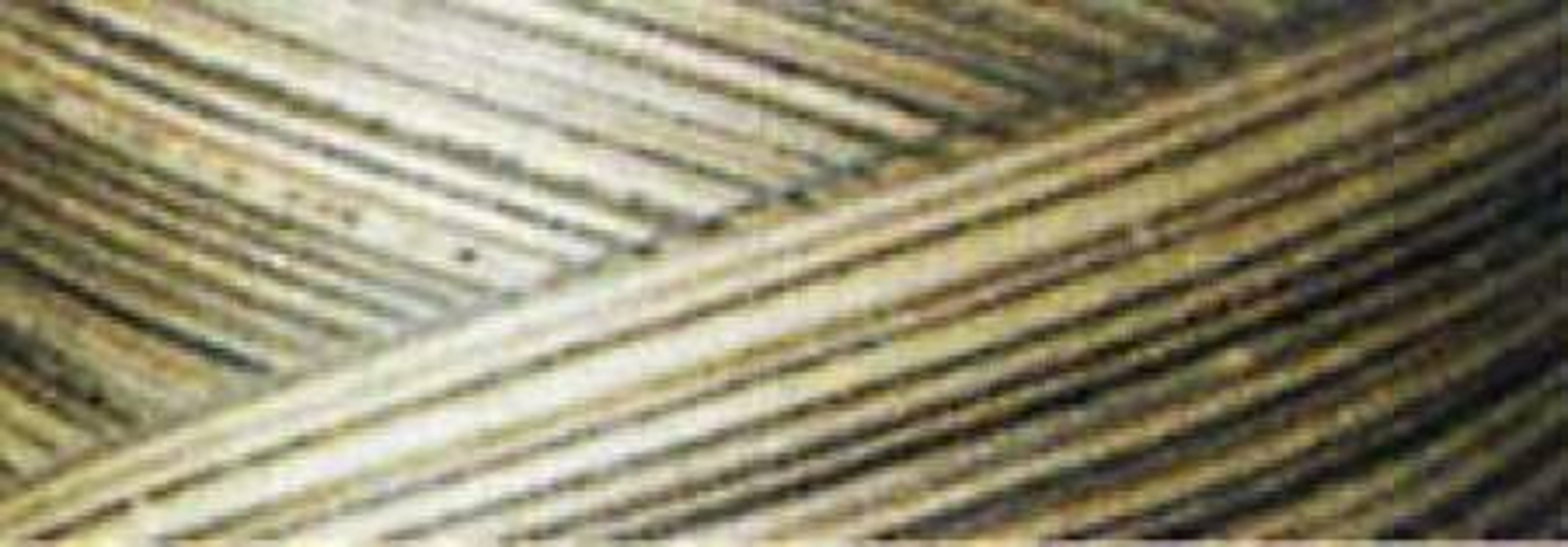 Variegated Thread Fe Signature Variegated Quilting Thread, 3000yds - Walmart.com