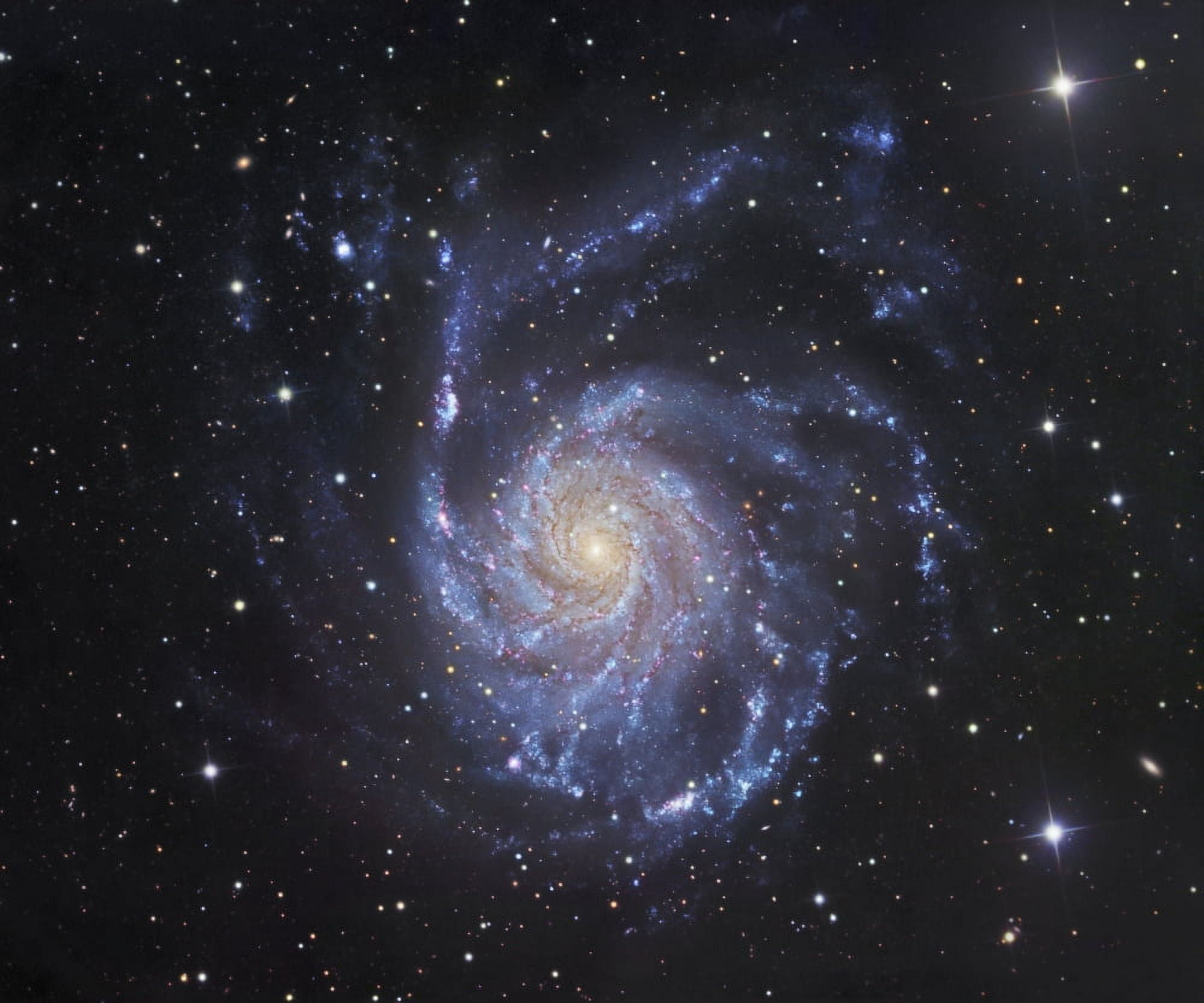 M101 The Pinwheel Galaxy in Ursa Major Canvas Art - Robert GendlerStocktrek Images (31 x 26)