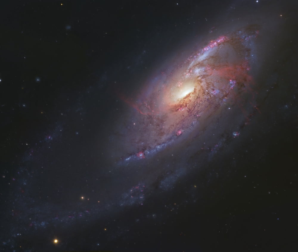 M106 spiral galaxy in Canes Venatici Canvas Art - Robert GendlerStocktrek Images (31 x 26)