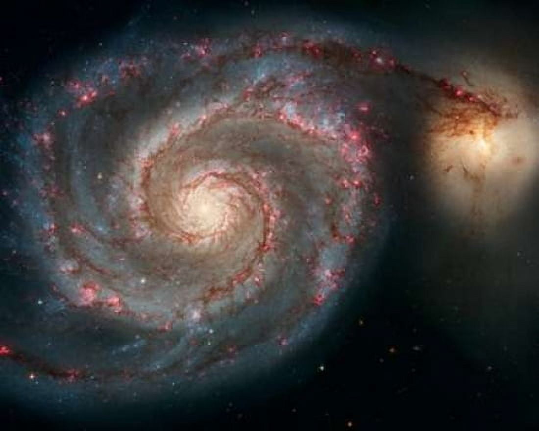 M51 - The Whirlpool Galaxy Canvas Art - NASA (24 x 30)