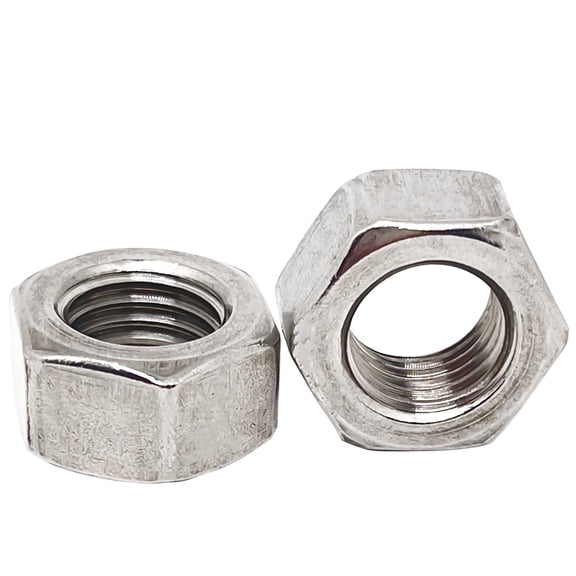 M6-1.0mm Pitch 304 Stainless Steel Left Hand Thread Hex Nuts - 10pcs
