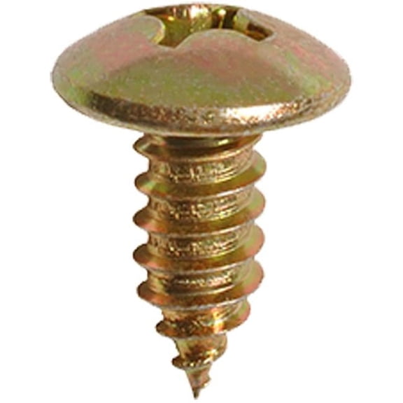 M6 License Plate Screw - Steel - 15 mm - Pack of 10 - Durable Design