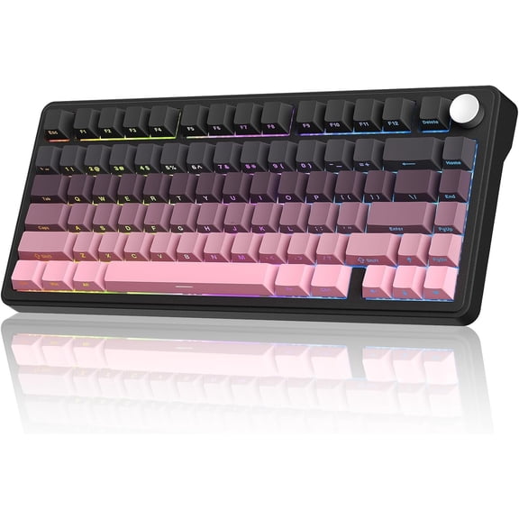M75 Mechanical Keyboard,75% Gasket Hot Swappable,RGB Backlit,Side Printed PBT Keycaps,2.4Ghz//USB-C Gaming Keyboards (Black and )