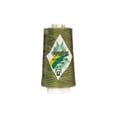 thumbnail image 1 of Signature Variegated Quilting Thread, 3000yds, 1 of 2