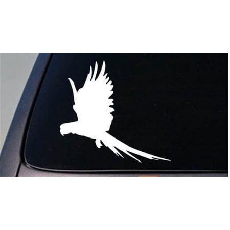 MACAW flying parrot 6" STICKER bird hyacinth TRUCK WINDOW STICKER 6" *D730*