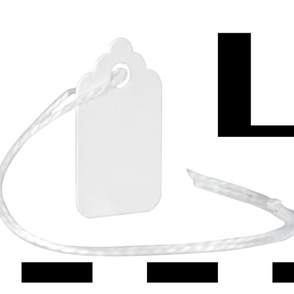 Maco White Strung Merchandise Tags, 1000 per Box, 2 x 3.75 x 5.25 Inches