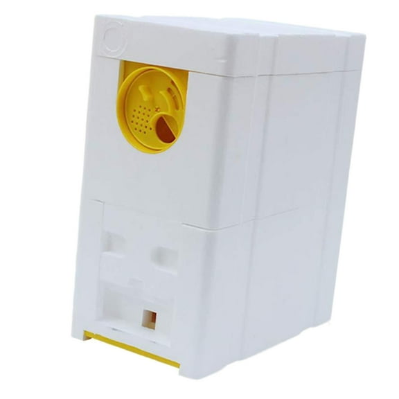 MAGIDEAL Queen Bee Breeding Supplies for Rooftop Hot Summer Early Spring Yellow