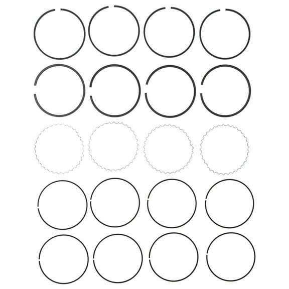 PERFECT CIRCLE RING SET