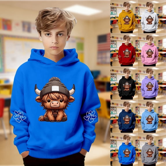 MAIHAN Highland Cow Hoodies For Kids Cute Cow Print Cozy Pullovers sweatshirts Casual Long Sleeve Fall Winter Sweatshirts(Grey,13-14 Years)