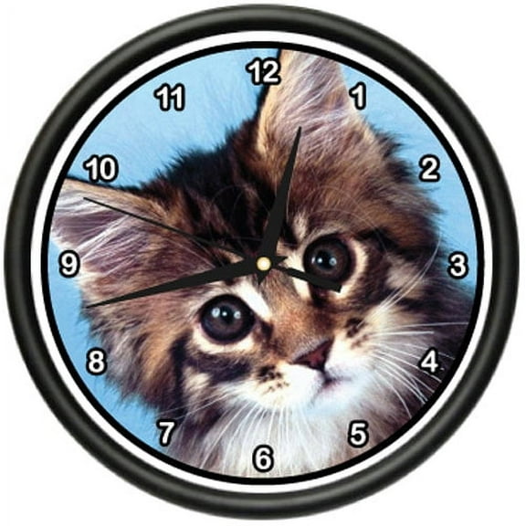MAINE COON KITTEN Wall Clock cat cats owner breeder