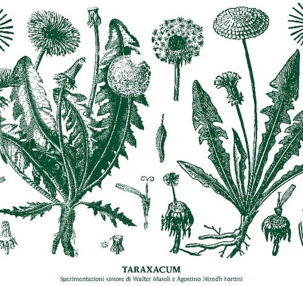 Maioli,Walter & Nirodh Fortini - Taraxacum - Music & Performance - Vinyl