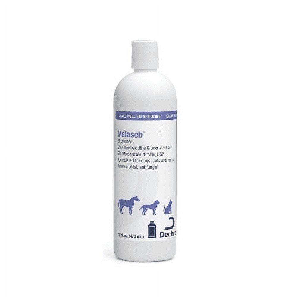 Malaseb shampoo petstock hotsell