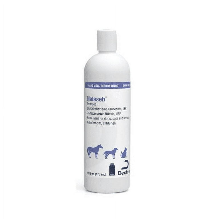 Antifungal Shampoo Malaseb Shampoo Petsmart Bayer Medicated