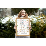 MALAYALAM CONSONANTS Alphabet POSTER Print With Words And English Translations 16 x 20 inches