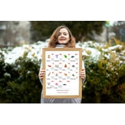 MALAYALAM VOWELS Alphabet POSTER Print With Words And English Translations 16 x 20 inches