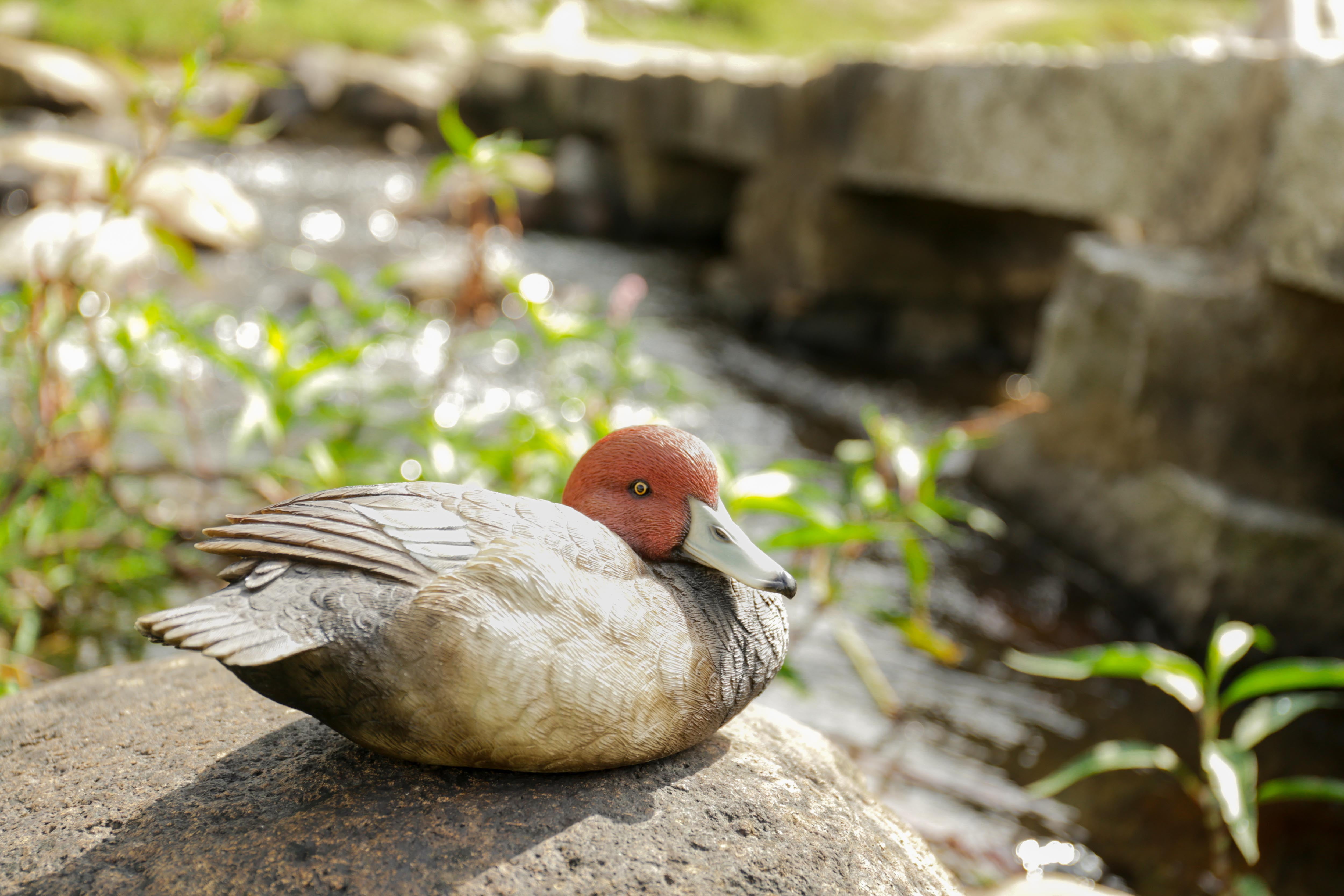 Small Brown and Red Mallard Garden Statue