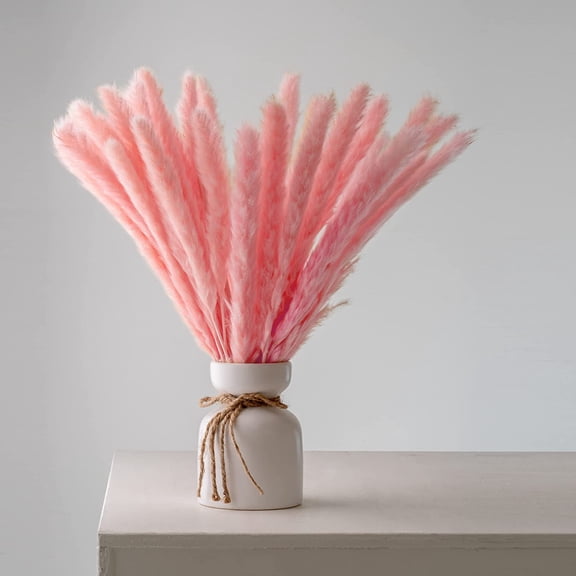 MAMOWEAR 40PCS Dried Pampas Grass Plumes 17 Inch Tall Natural Dried Plants Artificial Faux Reed Flower Stems Bunch for Wedding Home Vase Decor