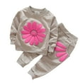 thumbnail image 1 of MANHUJI Clearance 2Pcs Set Toddler Girl Daisy Print Sweatshirt Fall Clothes Infant Baby Floral Long Sleeve Pullover Tops Stretch Pants Outfits (Gray,120), 1 of 6