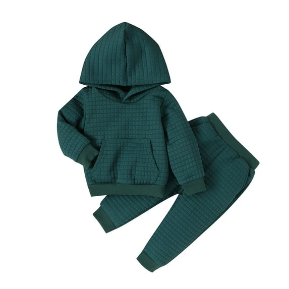 MANHUJI Clearance Baby Boy Girl Sweatsuits Sportswear Toddler Kids Casual Solid Color Outfit Hoodie Sweatshirt Tops + Sweat Pants Fall Winter Clothes (Green,100)
