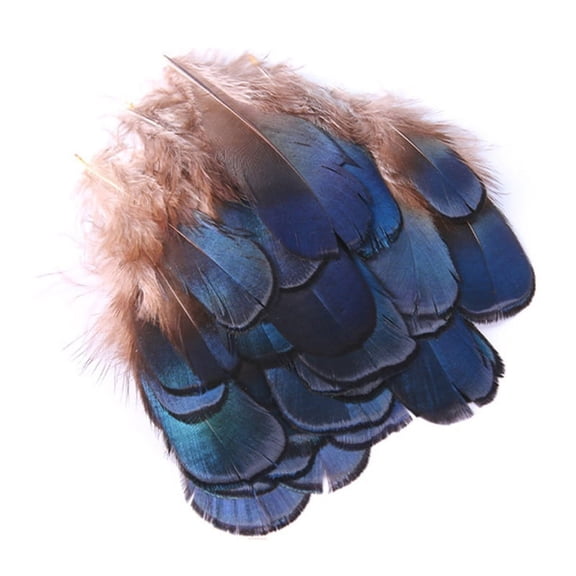 MANNYA 50 Pieces/Set Natural Feathers Crafts Exquisite Soft Crafts Chicken Feathers