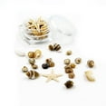 thumbnail image 1 of MANNYA Mini Tiny Sea Shells Mixed Ocean Beach Seashells Natural Starfish for Home, 1 of 8