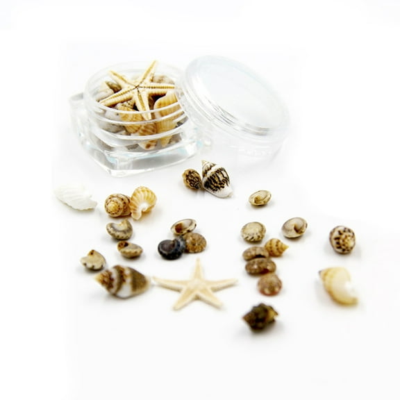MANNYA Mini Tiny Sea Shells Mixed Ocean Beach Seashells Natural Starfish for Home