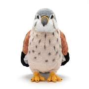 MAOWO Planet Standing Bird of Prey with Posable Feet Kestrel Falcon, 10-Inch