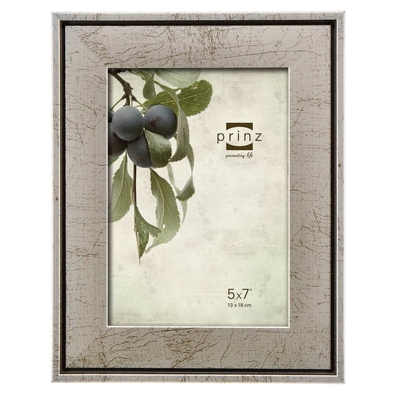 MARIETTA styrene frame by Prinz - 5x7