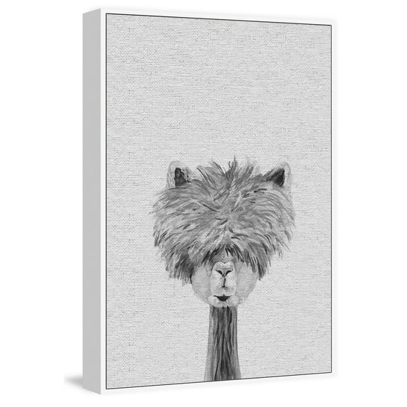MARMONT HILL Bushy Haired Llama III' Floater Framed Painting Print on Canvas - Multi-color 40 x 60
