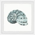 thumbnail image 1 of MARMONT HILL 'Classy Shell' Framed Painting Print 32 x 32, 1 of 5