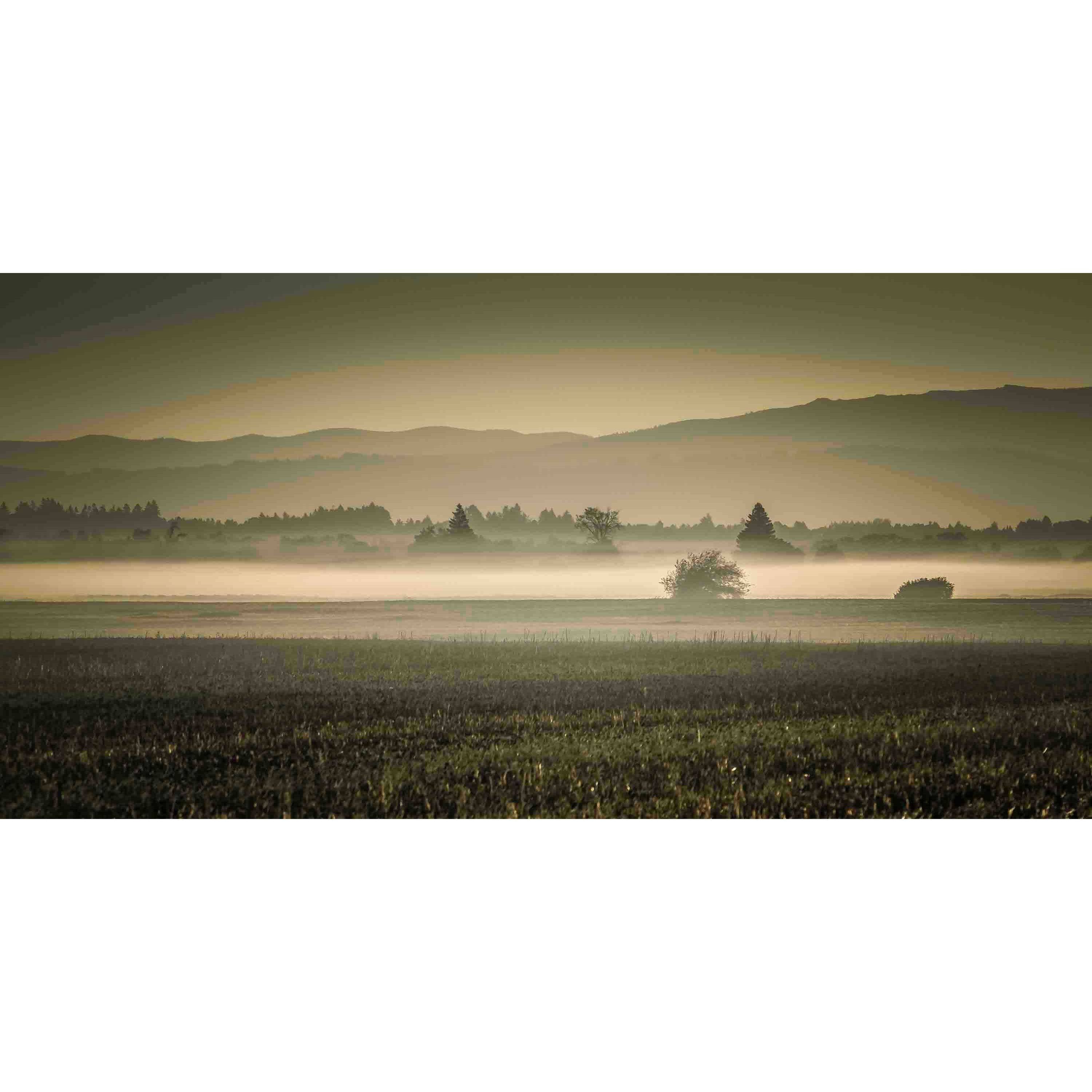 MARMONT HILL  - Dawn's Early Light Painting Print on Canvas - Multi-Color 24 x 12