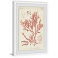 thumbnail image 1 of MARMONT HILL  - Handmade Antique Coral Seaweed VII Framed Print 24 x 36, 1 of 5