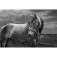 thumbnail image 1 of "Back to Your Roots" Painting Print on Wrapped Canvas, 1 of 5