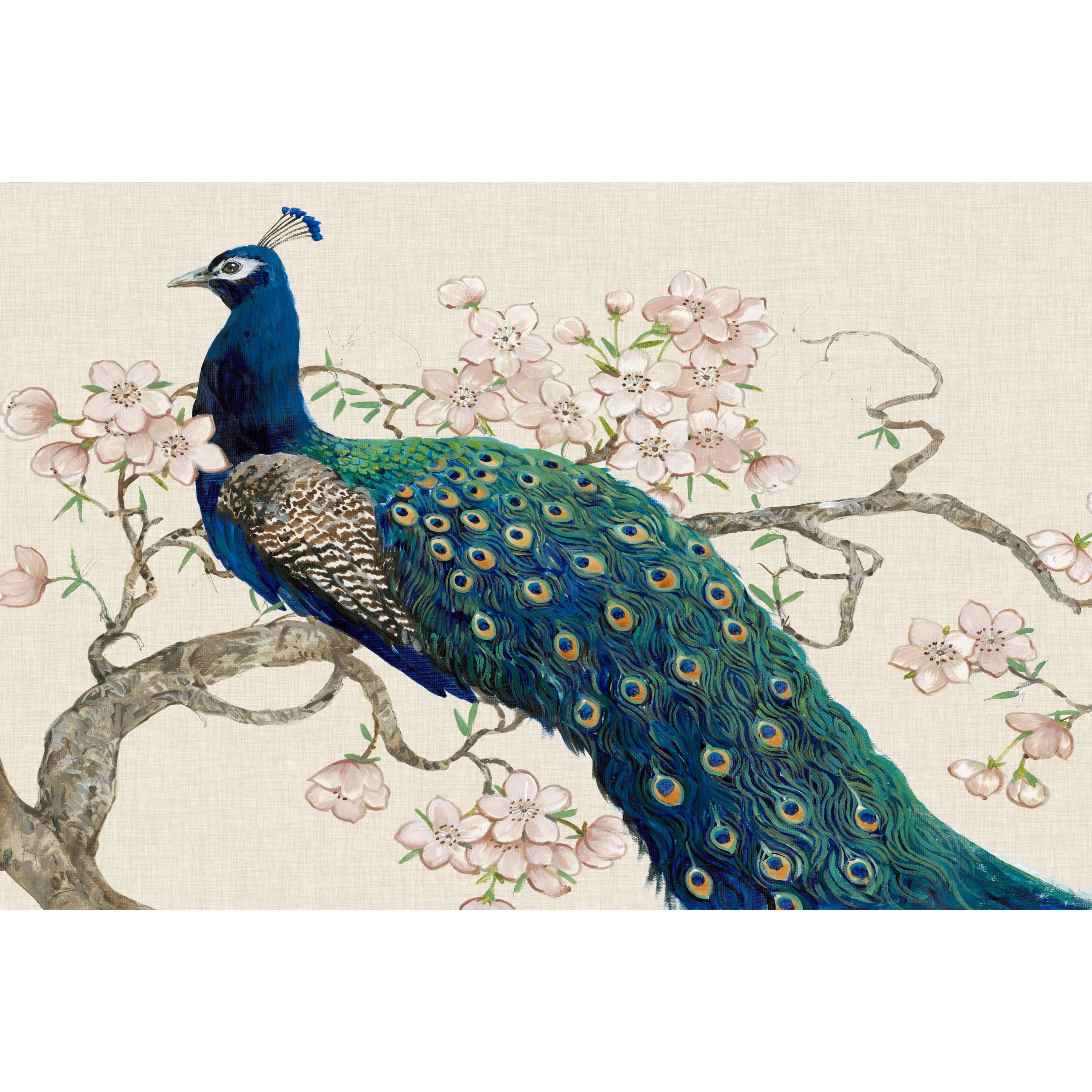 MARMONT HILL  - 'Peacock & Blossoms II' Painting Print on Wrapped Canvas 30 x 20