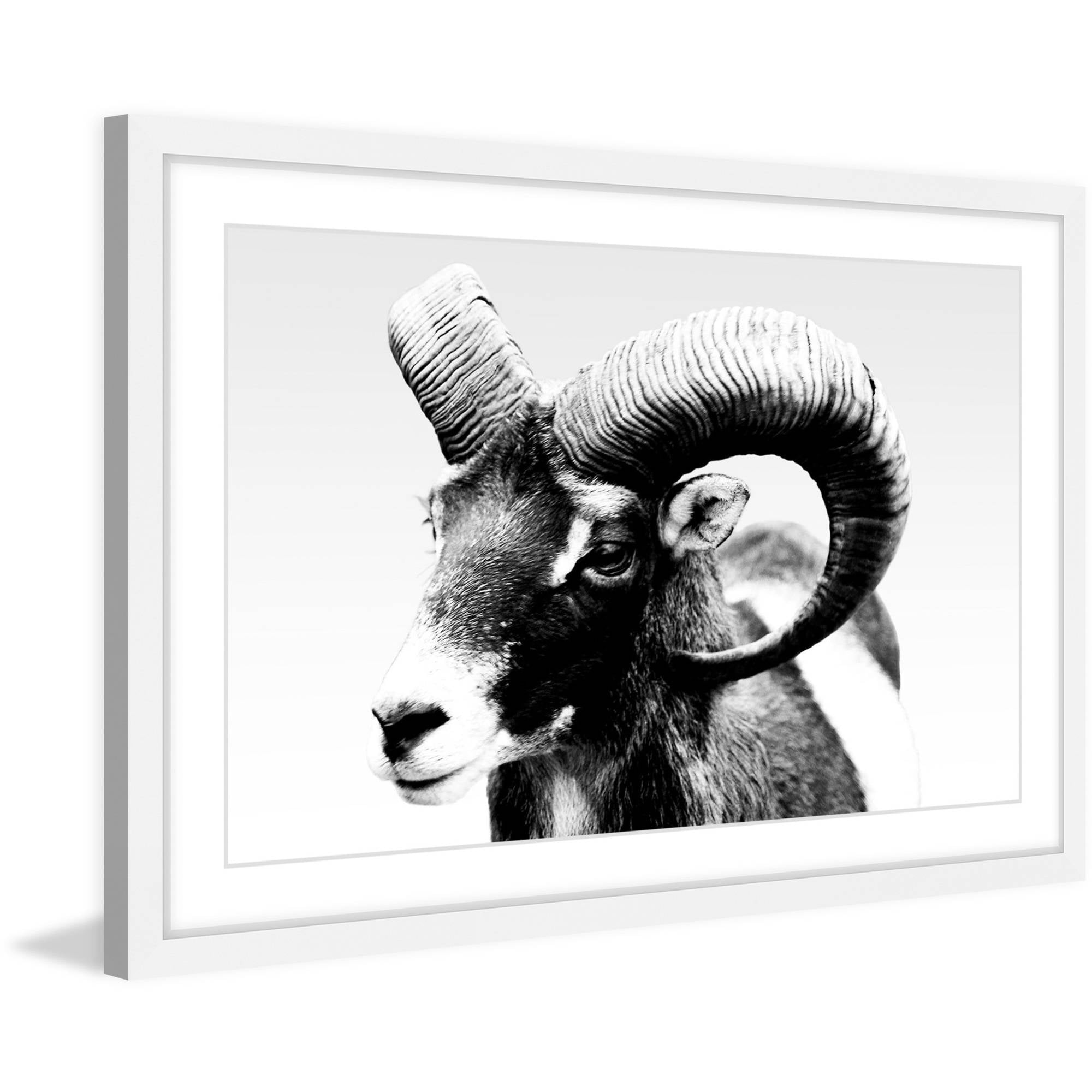 MARMONT HILL  - 'Ram Forward' Framed Painting Print - Multi-Color 36 x 24