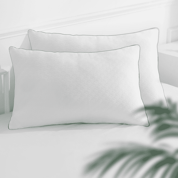 MARNUR Bed Pillows 2-Pack Queen Size Pillow for Side and Back Sleeper for Sleeping Down Alternative with Luxury Soft Supportive Plush Microfiber, 20''x28'' for All Ages