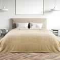 thumbnail image 1 of MARNUR Heated Blanket Queen Size 84''x90'', Fast Heating with Dual Controllers Electric Blanket, 10 Heating Levels, 10H Timer, Preheat Function - Beige, 1 of 13