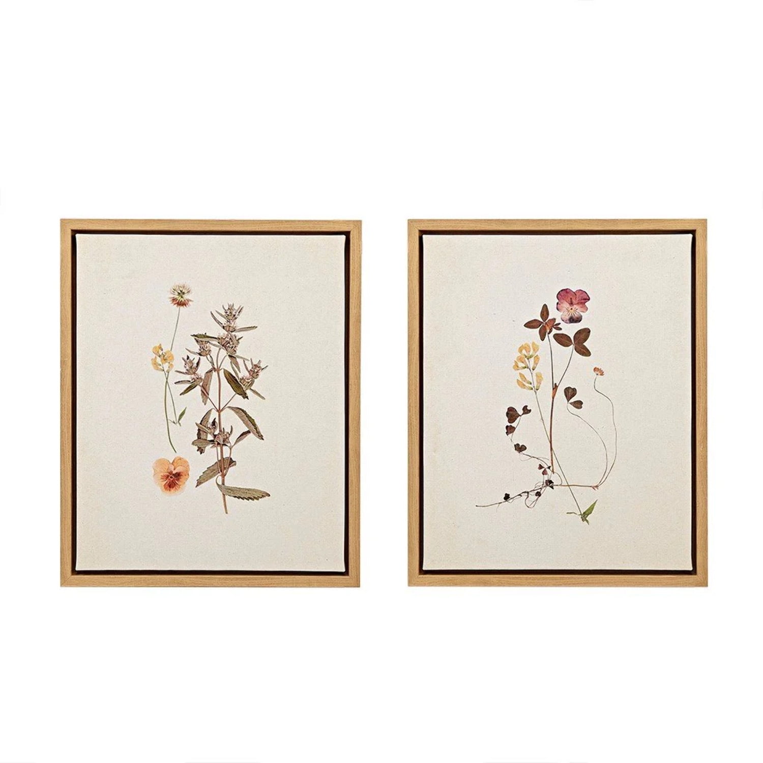 French Herbarium Framed Linen Canvas Wall Art Set