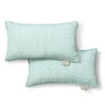 thumbnail image 1 of MARTHA STEWART Vineyard Vines Indoor Outdoor Decorative Lumbar Pillow 2-Pack Set, UV Fade Resistant, Water Repellent, Printed Garden Design, Aqua Blue, 11"x18", 1 of 9
